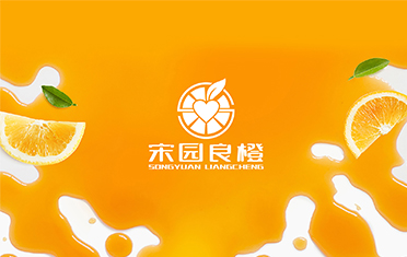 某良橙——湛江LOGO设计